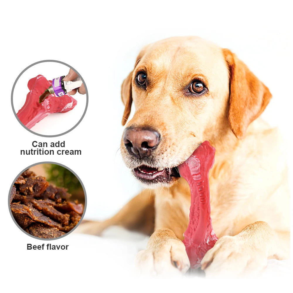 Durable Rubber Dog Bone Chew Toy for Dental Health and Fun