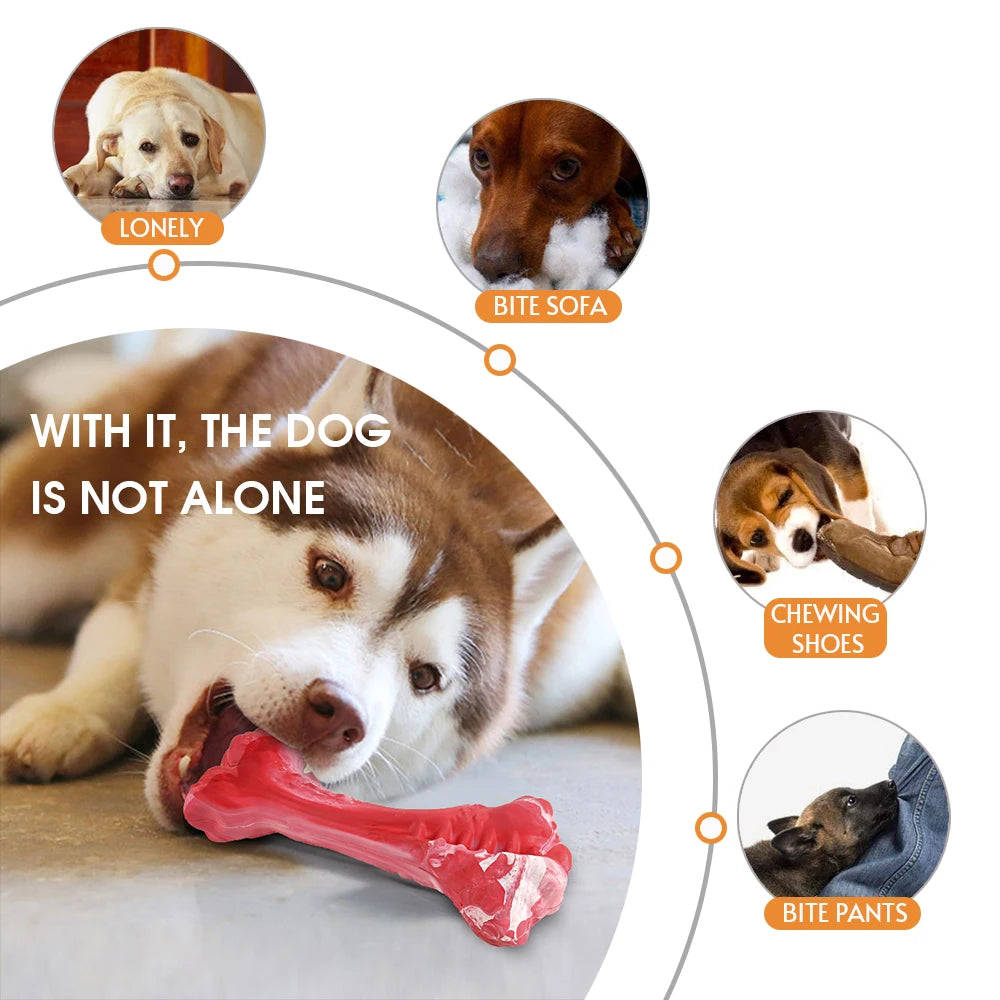 Durable Rubber Dog Bone Chew Toy for Dental Health and Fun