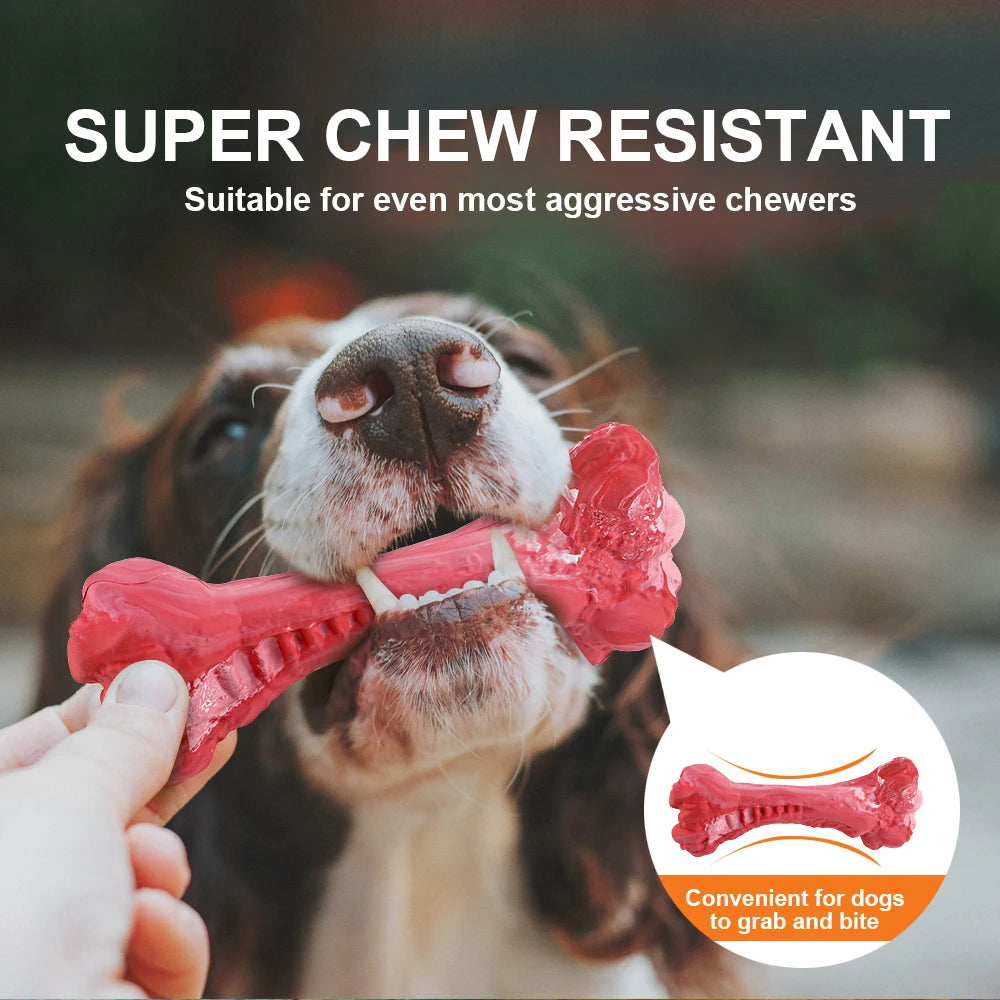 Durable Rubber Dog Bone Chew Toy for Teeth Cleaning Fun