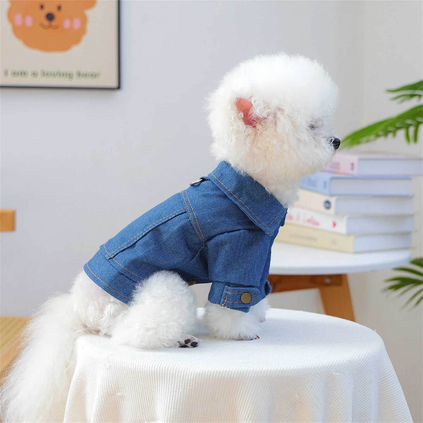 Dog Denim Jacket For Pets Vintage Jean Coat Daily Wear