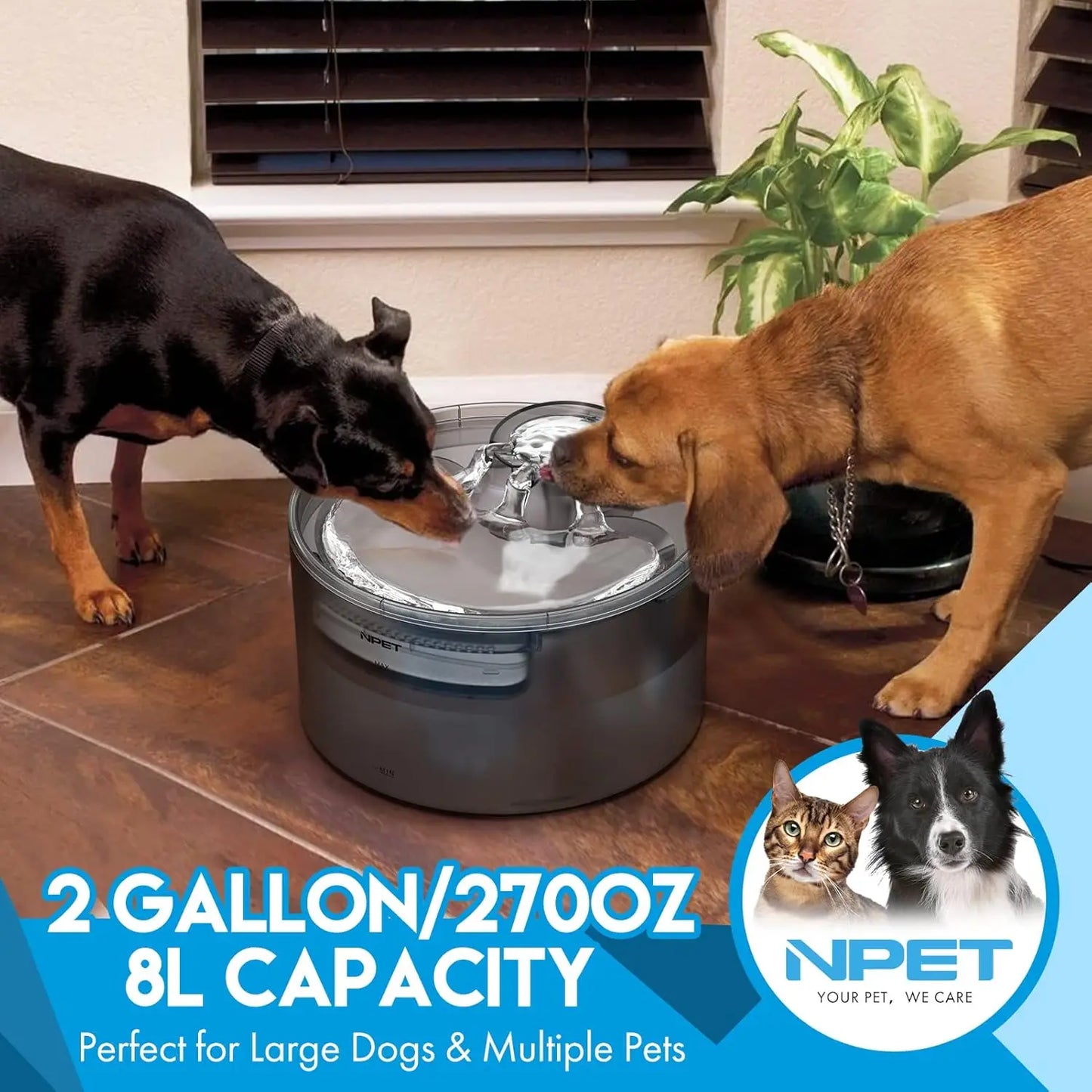 NPET DF30 Large Automatic Dog Water Fountain 2 Gallon 8L