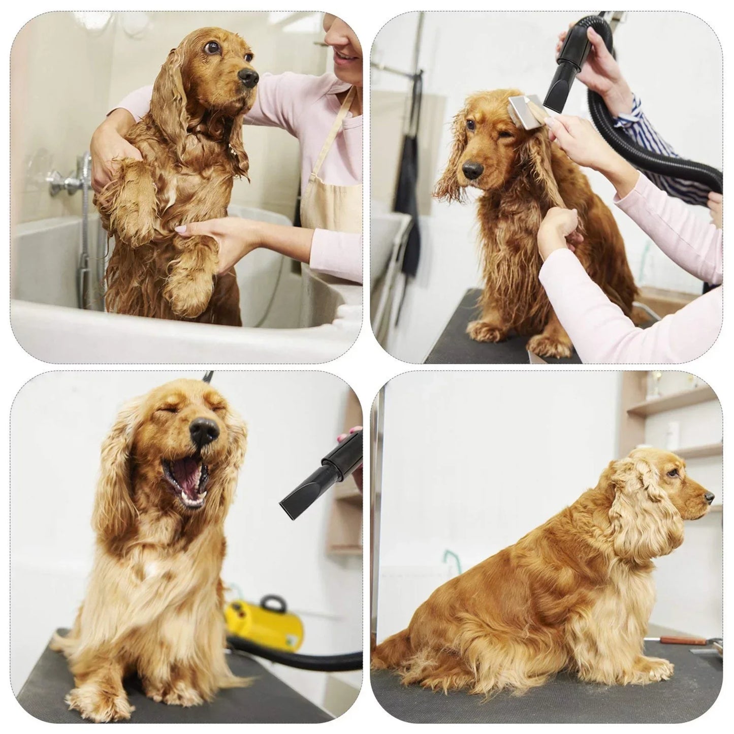 Dog Hair Dryer 3.8HP 2800W Pet Grooming Blower for Large Dogs