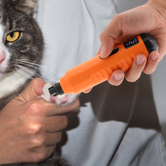 Rechargeable Low Noise Paw Trimmer for Cats and Dogs
