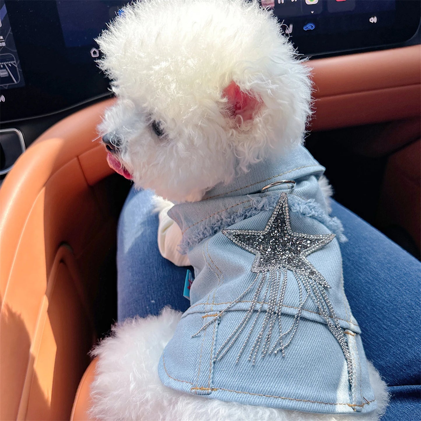 Dog Denim Jacket Vest Costume Vintage Jean Coat For Pets