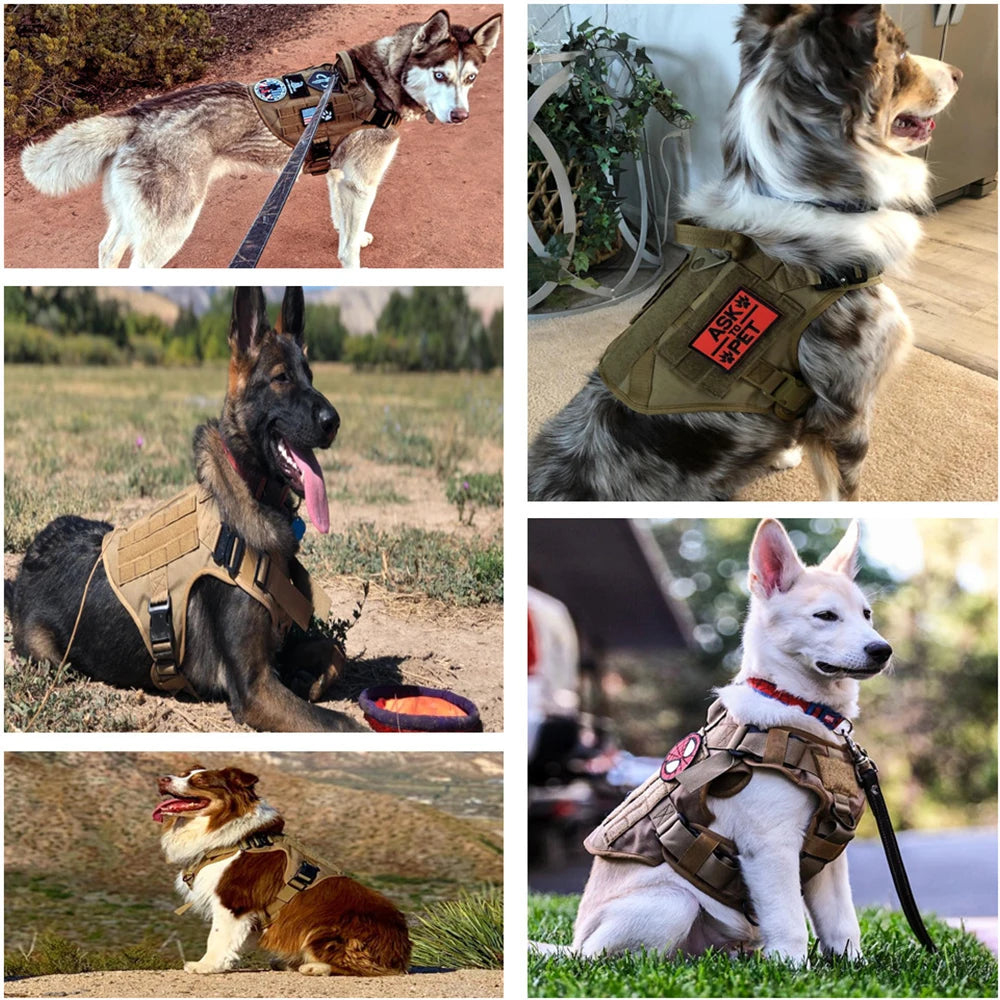 Military Tactical Dog Harness Vest With Leash Patches Set For Malinois