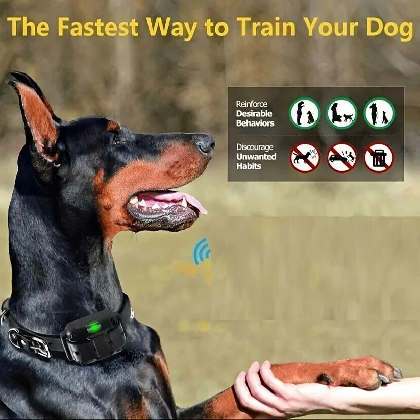 Rechargeable Waterproof Dog Training Collar With Clicker