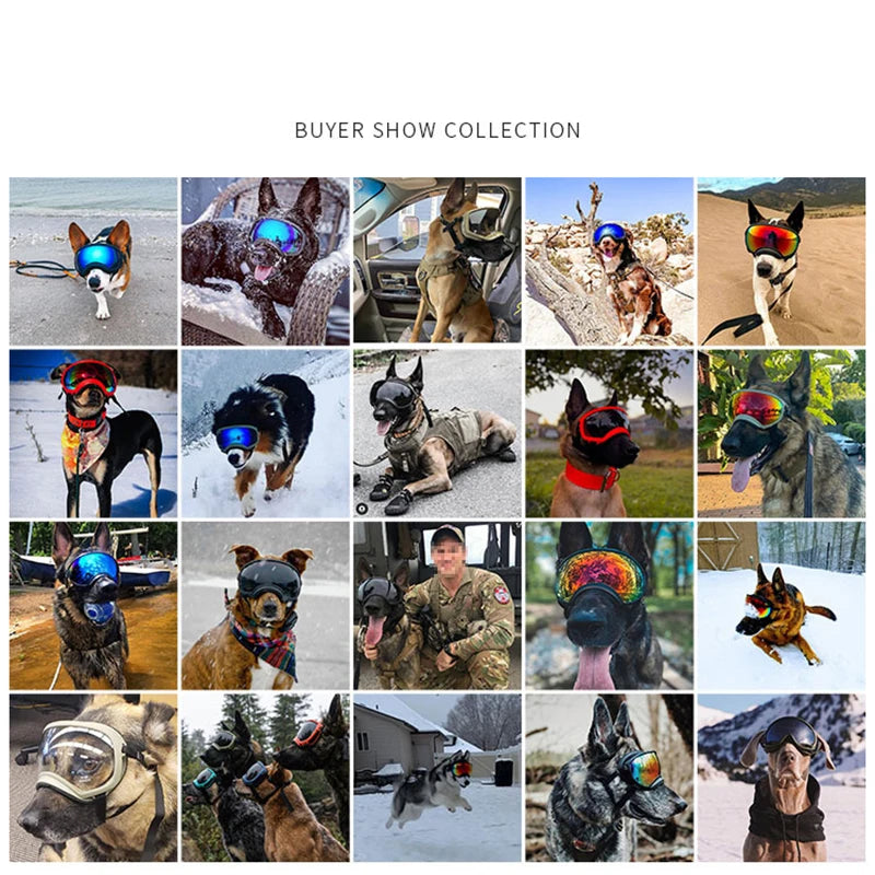 Dog Goggles UV Protection Sunglasses For Travel And Outdoor