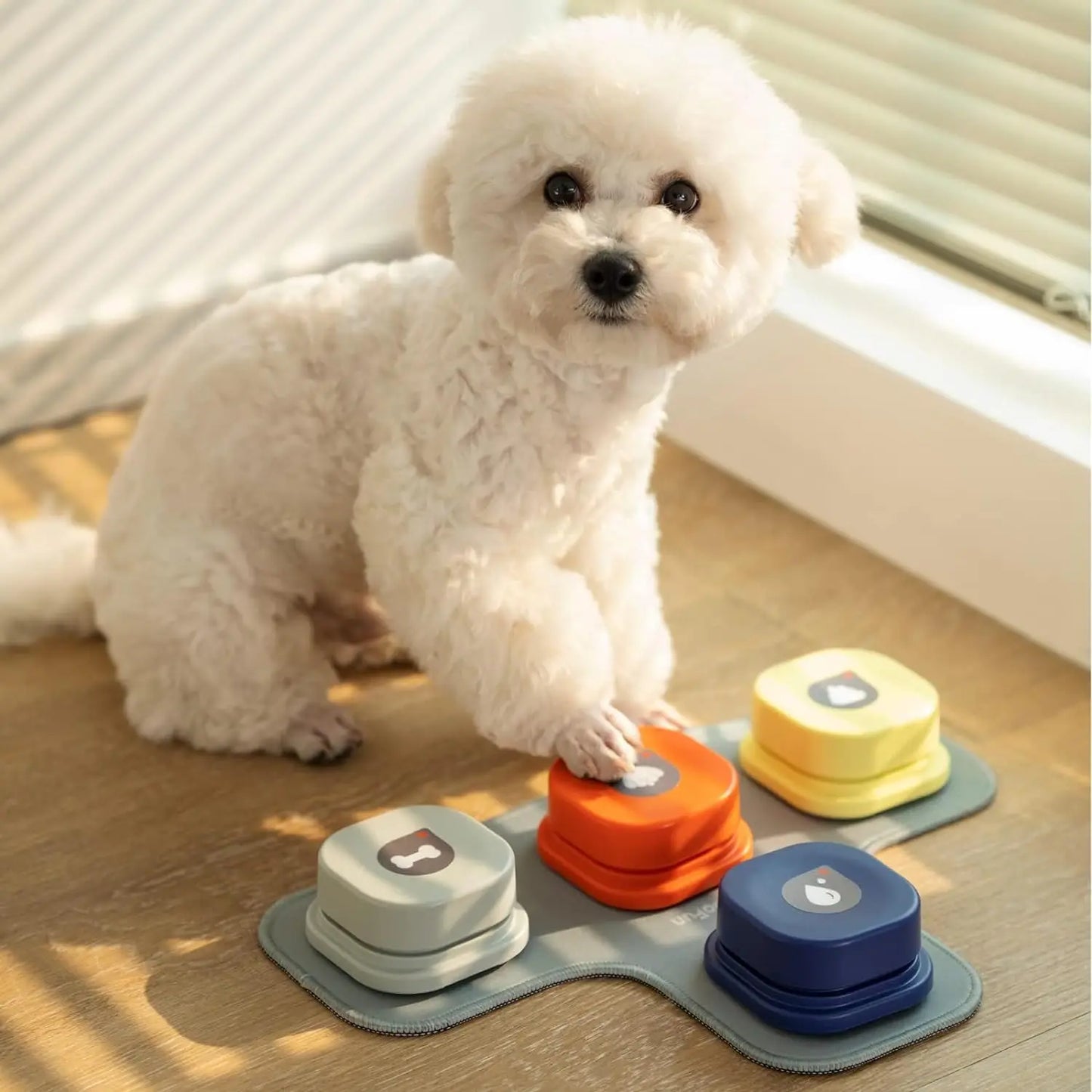 Mewoofun Dog Talking Buttons Set with Rubber Mat for Training