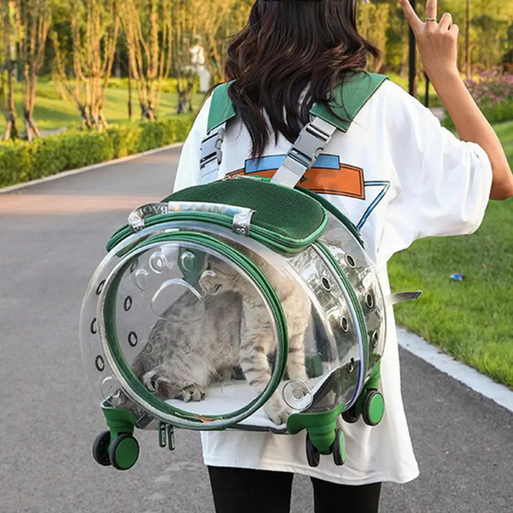 Portable Pet Trolley Case With Ventilation Holes For Cats