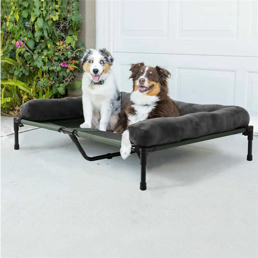 Indoor Outdoor Elevated Pet Bed for Dogs and Cats L XL 2XL