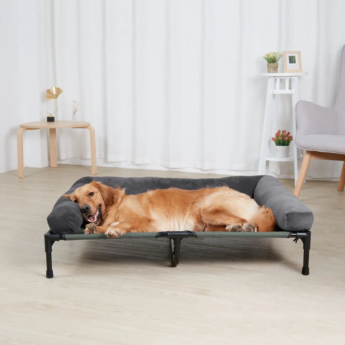 Indoor Outdoor Elevated Pet Bed for Dogs and Cats L XL 2XL