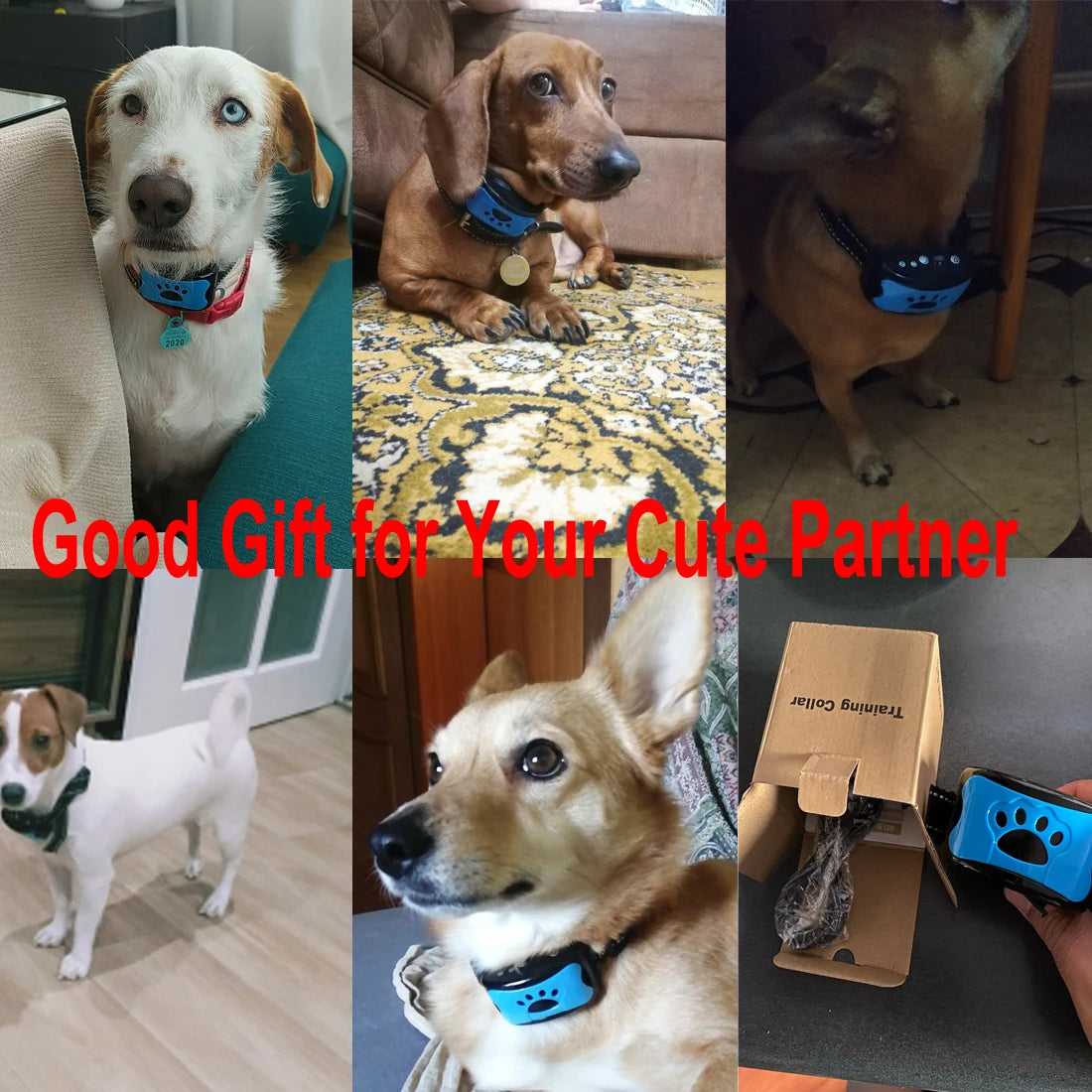 USB Ultrasonic Dog Bark Collar Training Anti Bark Device
