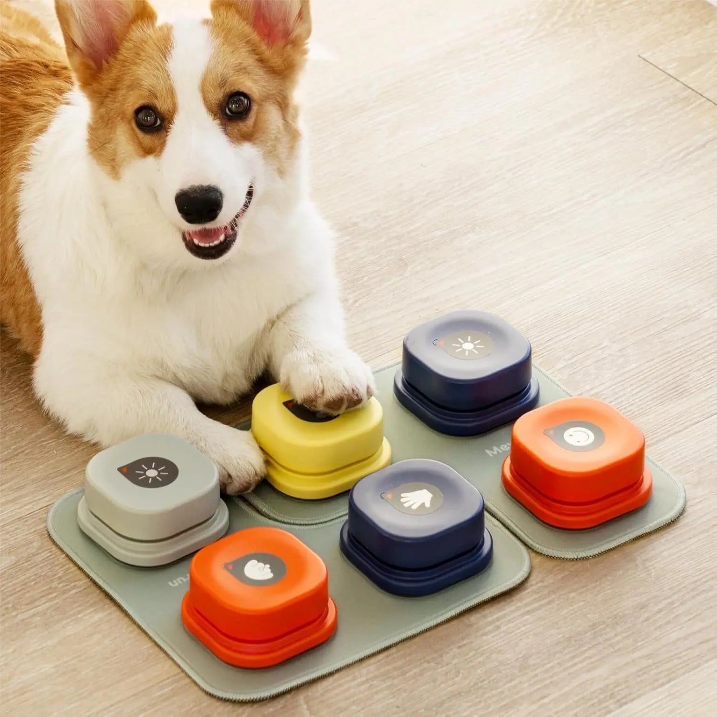 Mewoofun Dog Talking Buttons Set with Rubber Mat for Training