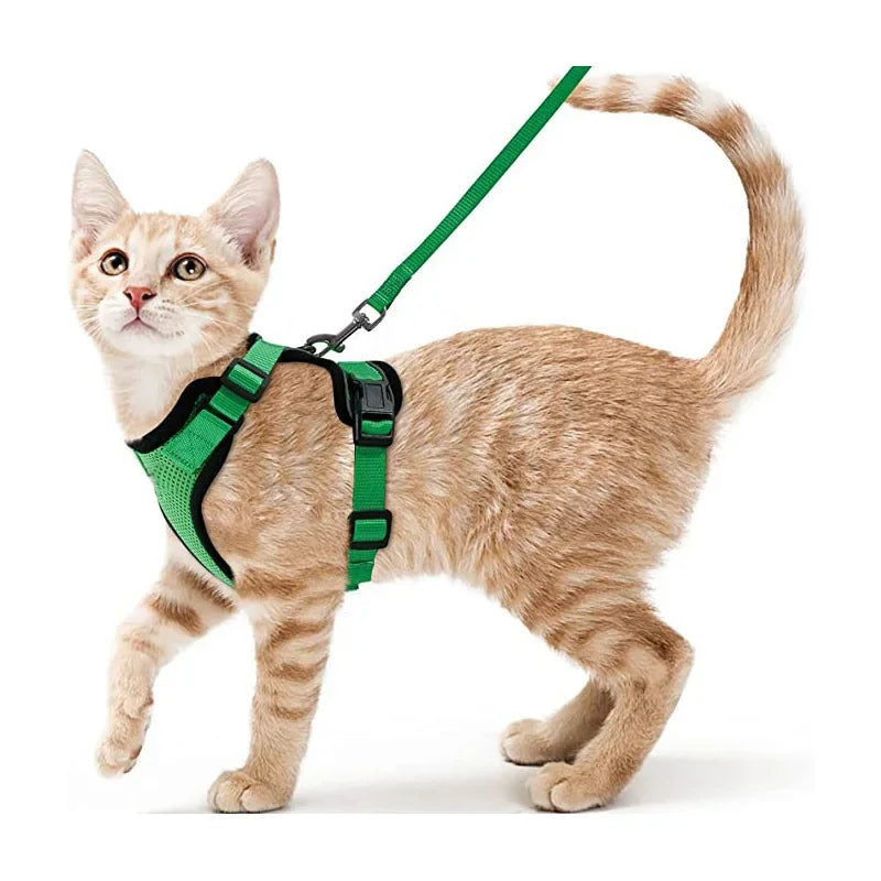 Cat Harness and Leash for Walking, Escape Proof Soft Adjustable Vest Harnesses for Cats, EasyControl Pet collar personalized