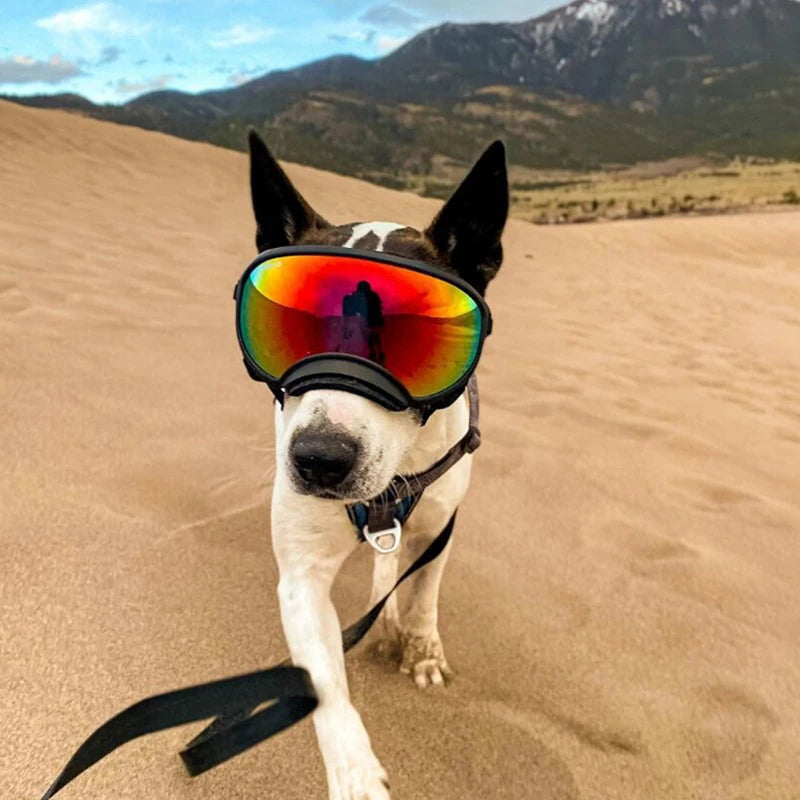 Dog Goggles UV Protection Sunglasses For Travel And Outdoor