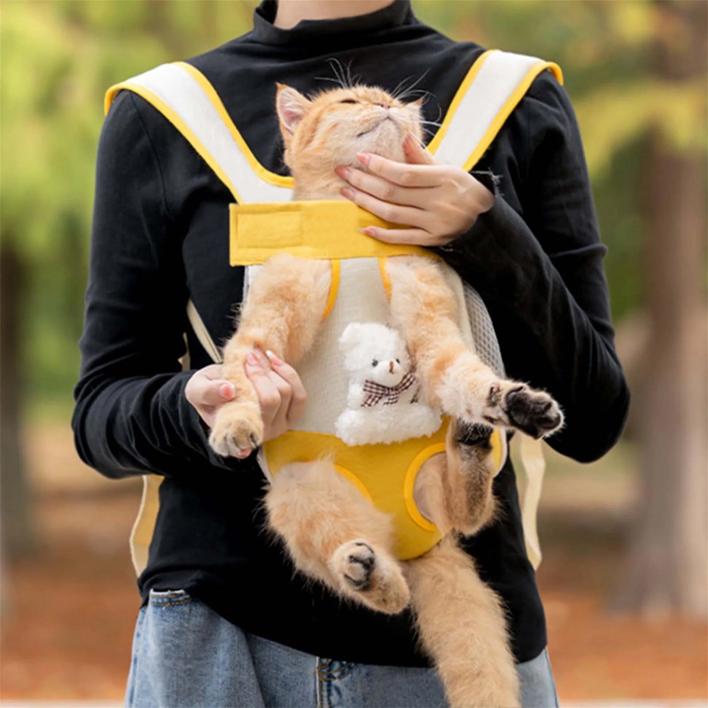 Breathable Pet Carrier Backpack For Cats And Small Dogs