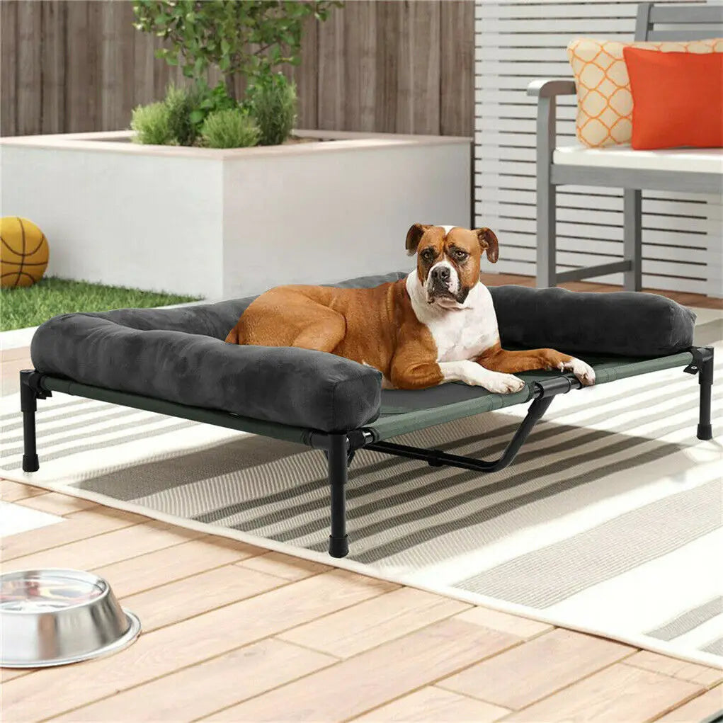 Indoor Outdoor Elevated Pet Bed for Dogs and Cats L XL 2XL