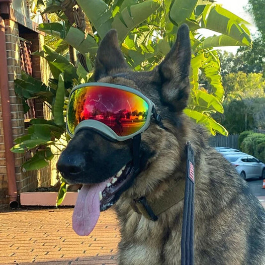 Dog Goggles UV Protection Sunglasses For Travel And Outdoor