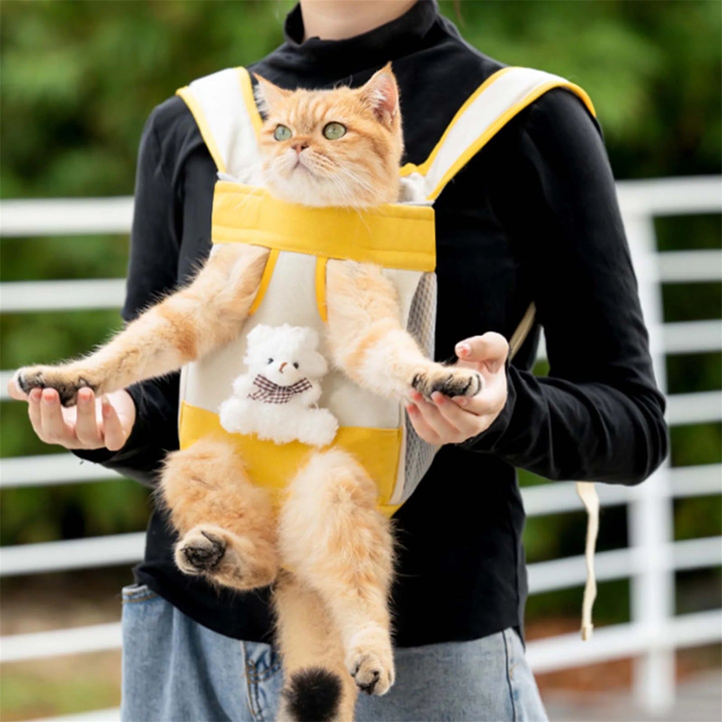 Breathable Pet Carrier Backpack For Cats And Small Dogs
