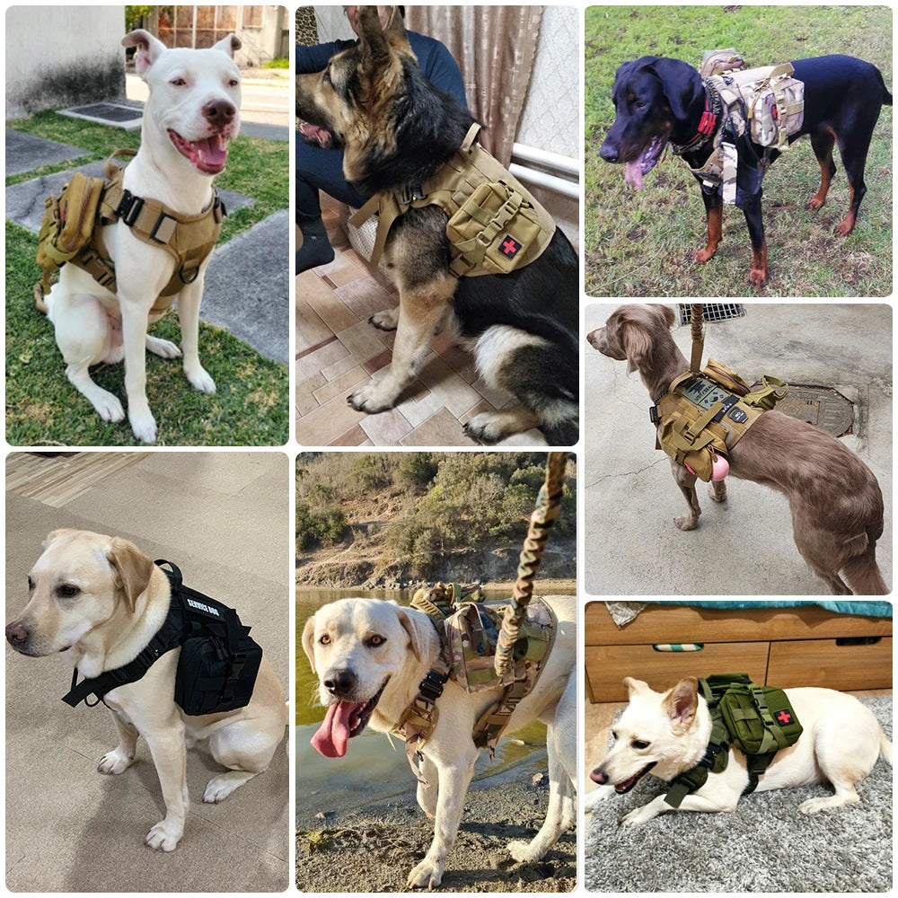 Military Tactical Dog Harness Vest With Leash Patches Set For Malinois