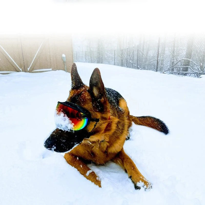Dog Goggles UV Protection Sunglasses For Travel And Outdoor