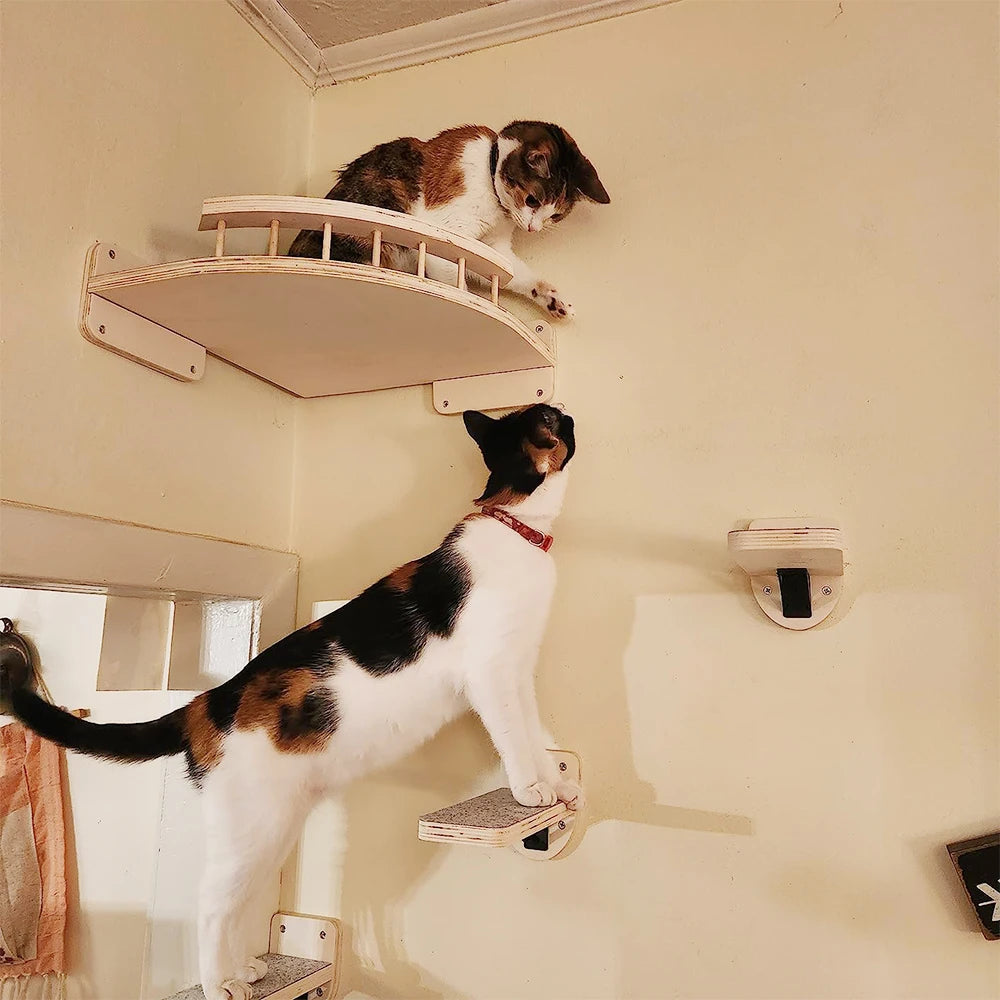 Corner Cat Tree With Steps Wall Mounted Indoor Cat Hammock