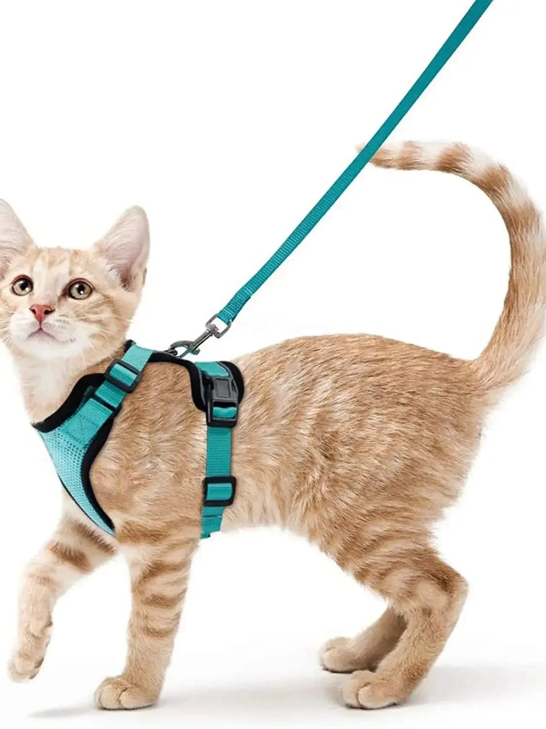 Cat Harness and Leash for Walking, Escape Proof Soft Adjustable Vest Harnesses for Cats, EasyControl Pet collar personalized