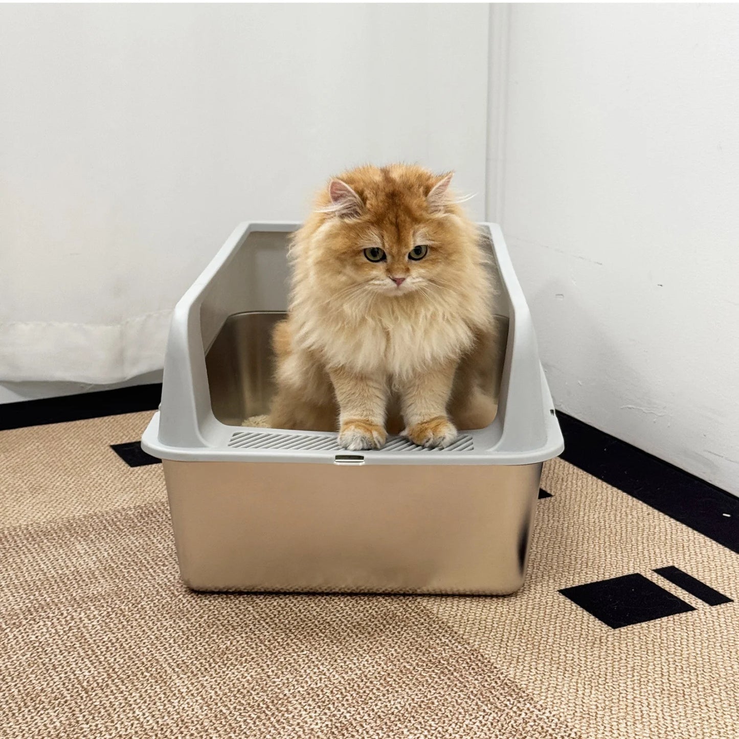 Large Stainless Steel Cat Litter Box High Sided With Spoon