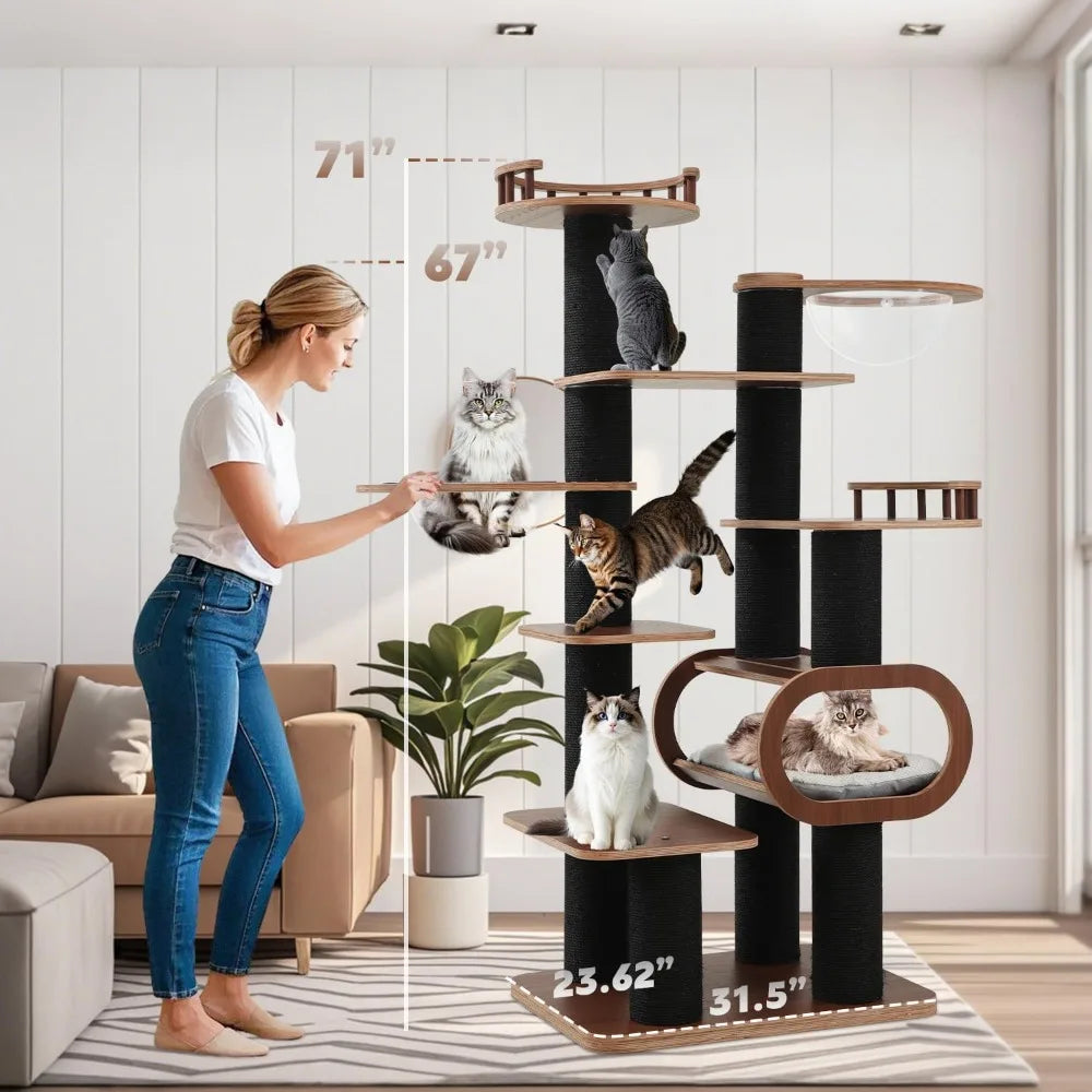 71'' Modern Black Cat Tree for Indoor, Tall Solid Wood Cat Tower for Home Decoration, Multi-Level Cat Tower with Transparent Bed