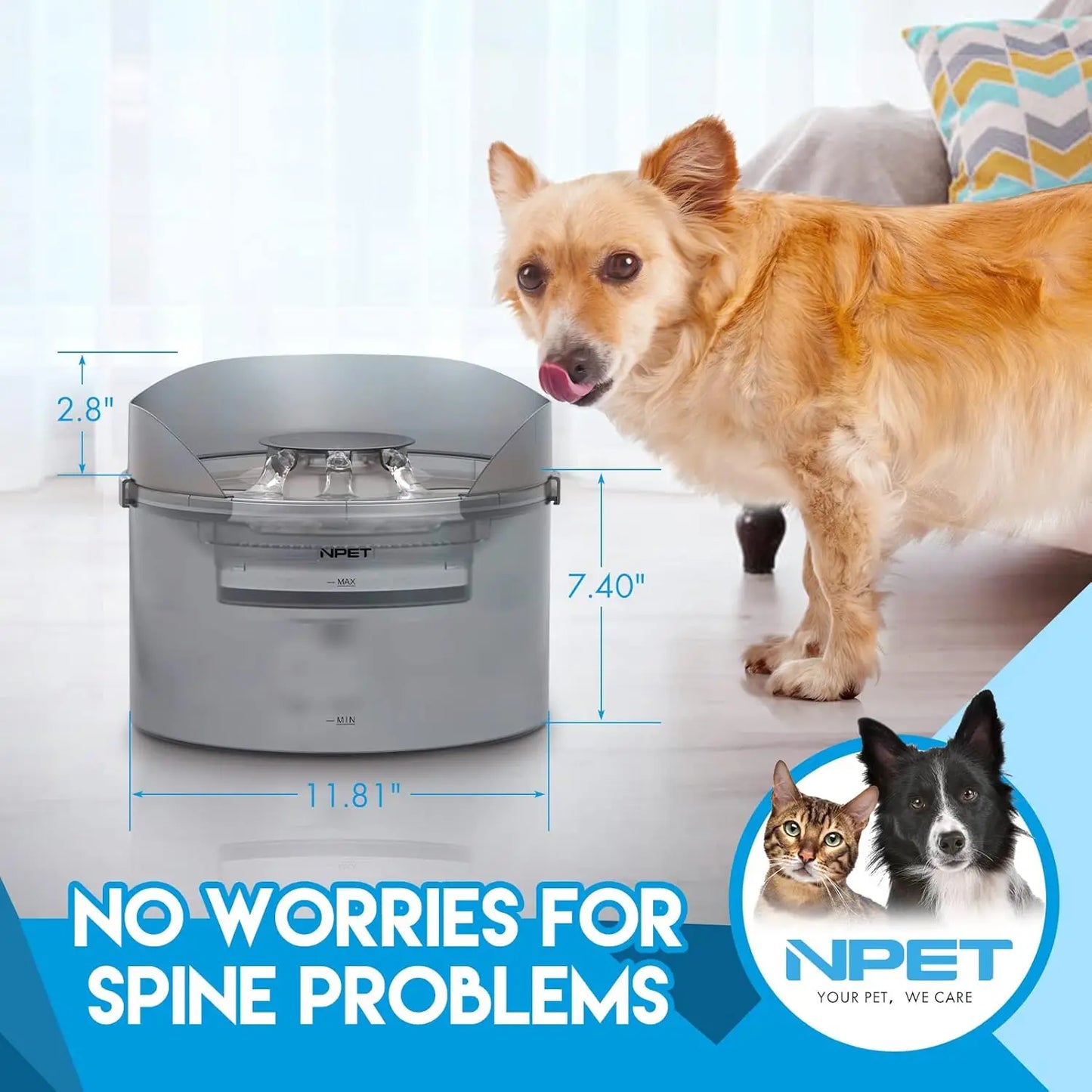 NPET DF30 Large Automatic Dog Water Fountain 2 Gallon 8L