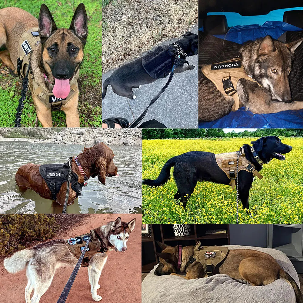 Military Tactical Dog Harness Vest With Leash Patches Set For Malinois
