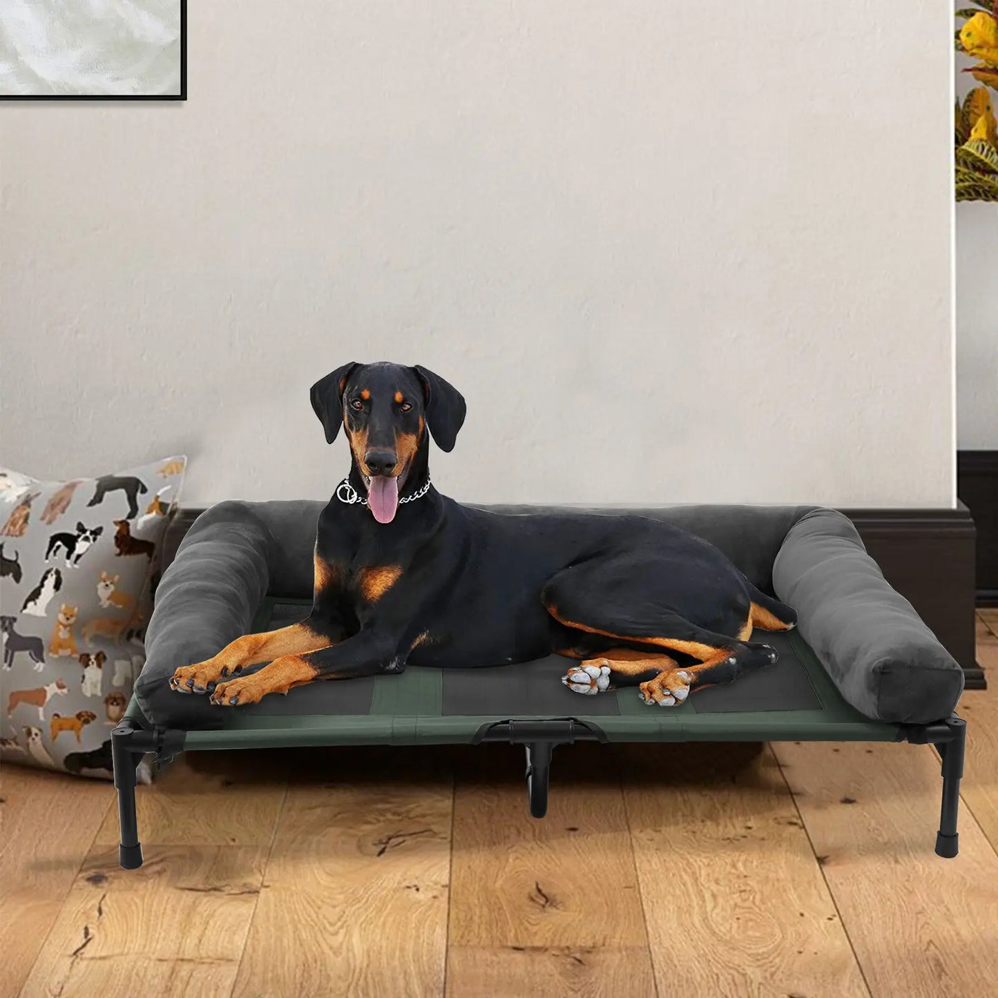 Indoor Outdoor Elevated Pet Bed for Dogs and Cats L XL 2XL