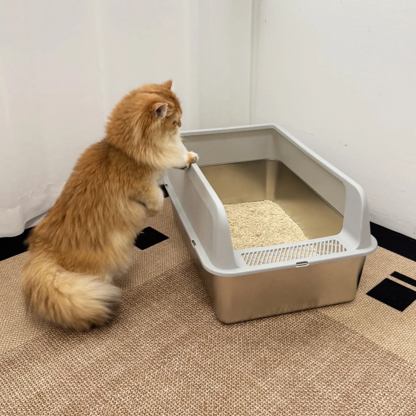 Large Stainless Steel Cat Litter Box High Sided With Spoon