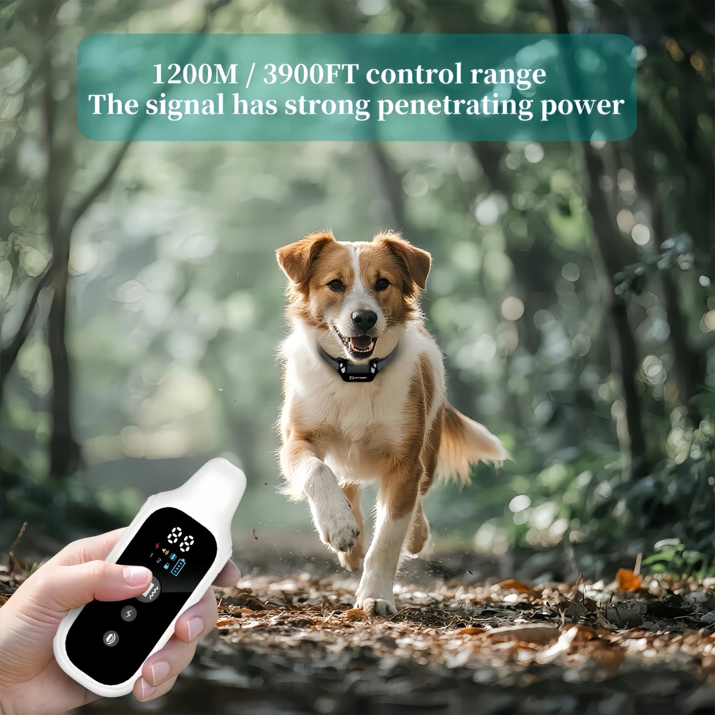 YHLC Detachable Dog Bark Collar Rechargeable Vibration